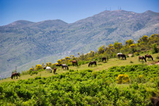 Albania-Central-Learn to Ride in Albania